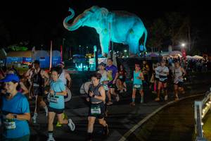 BIB: 
                            <button type="button" onclick="openModal(26552315)" class="btn btn-primary btn-sm float-right btn-popup" data-toggle="modal" data-target=".modal-high-quality">
                        <i class="fas fa-shopping-cart"></i> Add to Cart
                    </button>
                                            <button type="button" onclick="isThisMe(26552315, true)" class="btn btn-success btn-sm float-right btn-popup btn-isme hidden" data-toggle="tooltip" data-placement="bottom" title="นี่คือรูปของคุณใช่ไหม คลิกที่นี่เพื่อเอาเข้าอัลบั้ม">
                        <i class="fas fa-plus"></i> Add to album
                    </button>
                    <button type="button" onclick="isThisMe(26552315, false)" class="btn btn-warning btn-sm float-right btn-popup btn-isnotme hidden">
                        <i class="fas fa-ban"></i> Remove from album
                    </button>